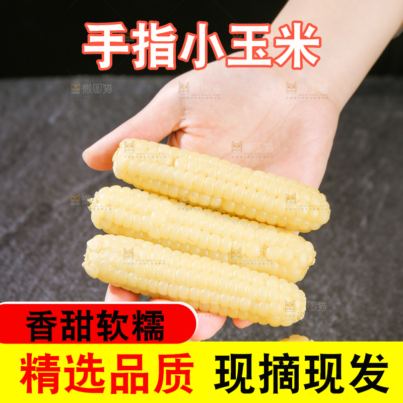 深底上的拇指小玉米