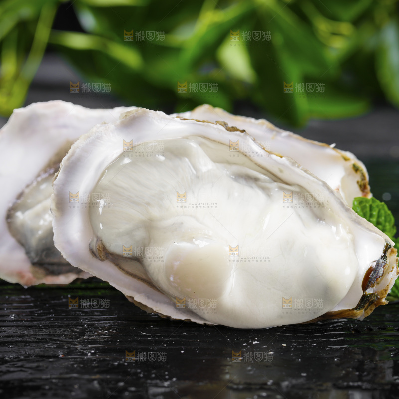 深底上的乳山生蚝