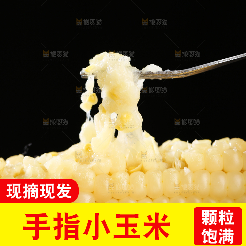 深底上的拇指小玉米
