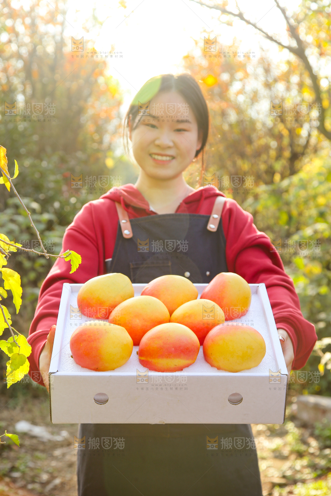 手里拿着新鲜澳芒