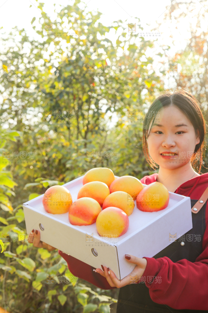 手里拿着新鲜澳芒