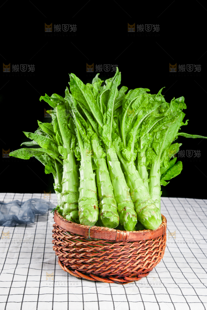 浅底上的莴笋