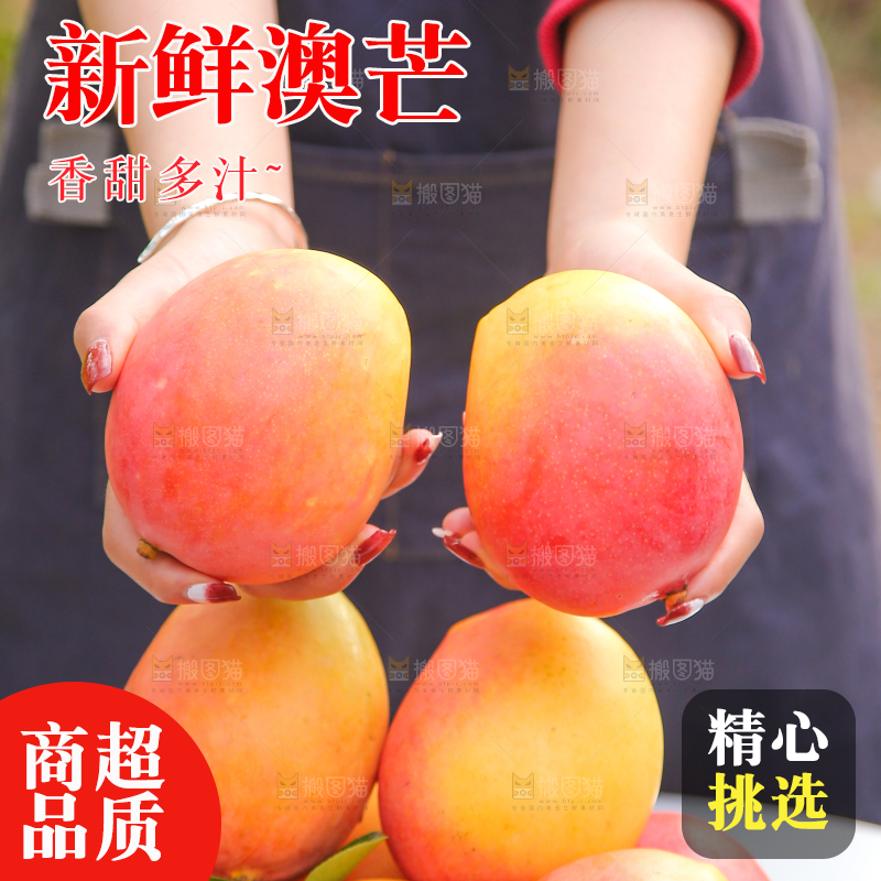 手里拿着新鲜澳芒