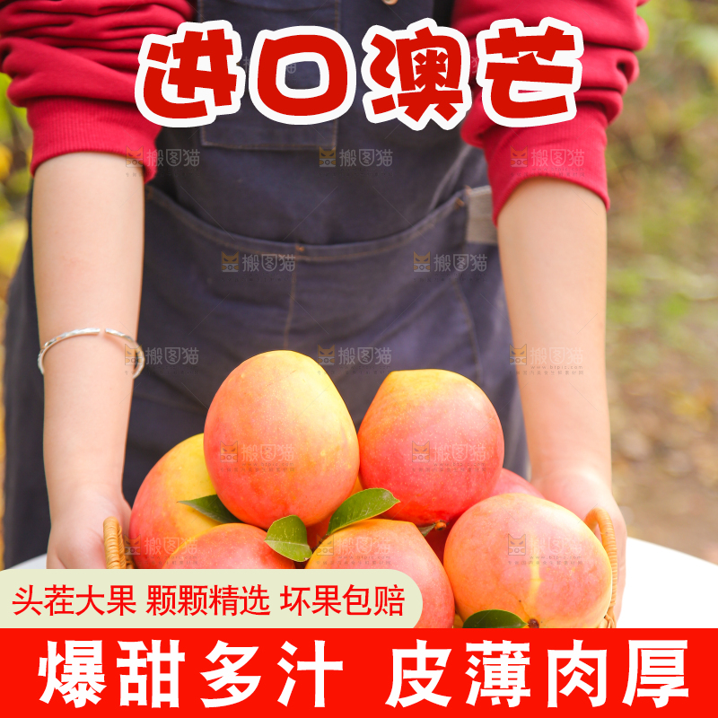 手里拿着新鲜澳芒