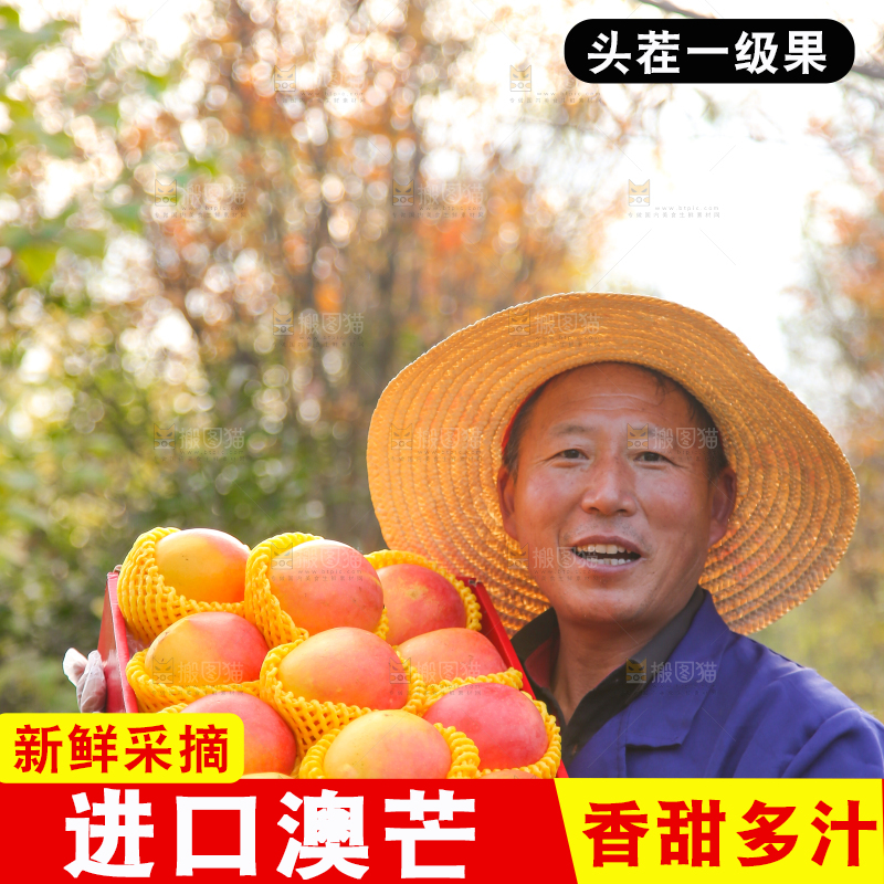 手里拿着新鲜澳芒