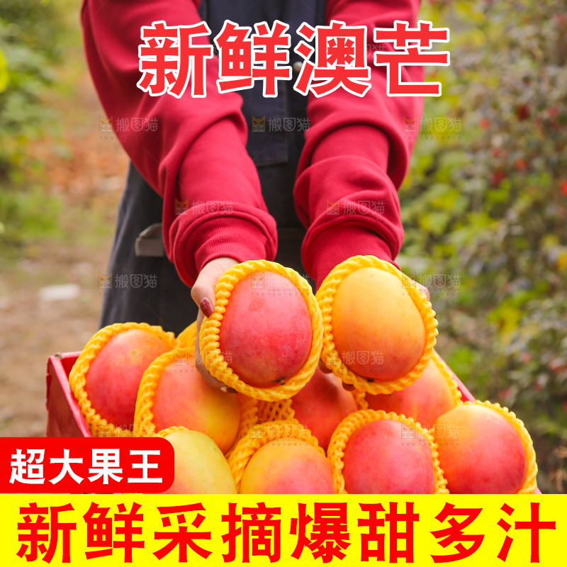 手里拿着新鲜澳芒