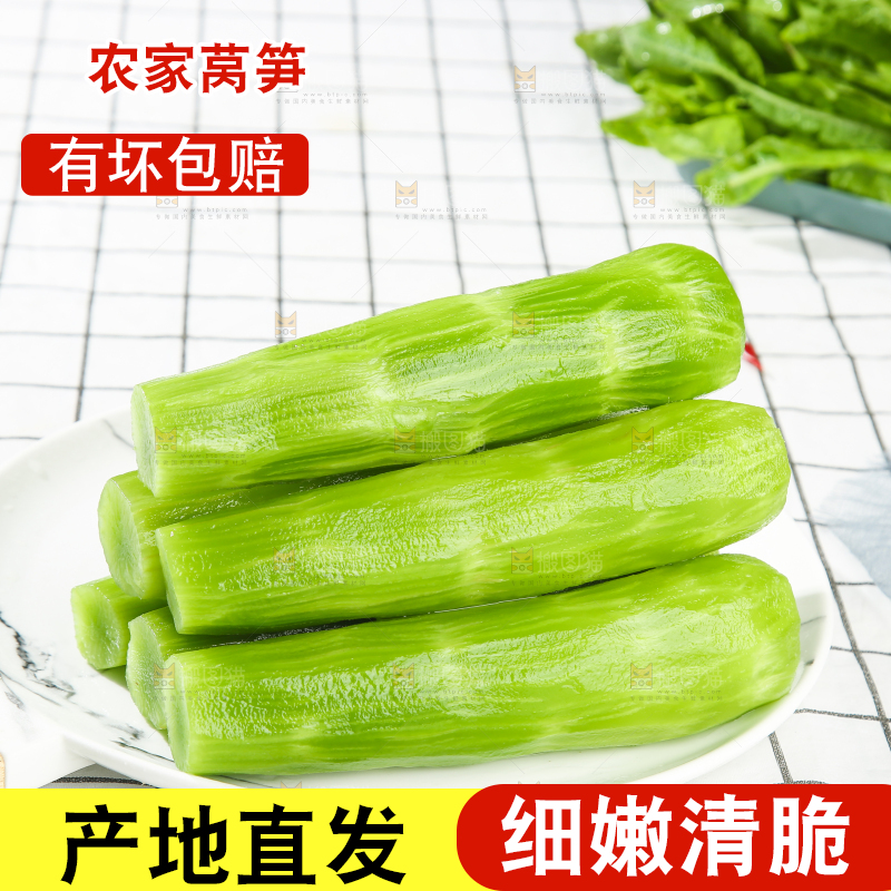 浅底上的莴笋