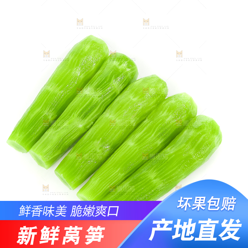 白底上的新鲜莴笋