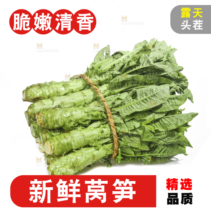 白底上的新鲜莴笋
