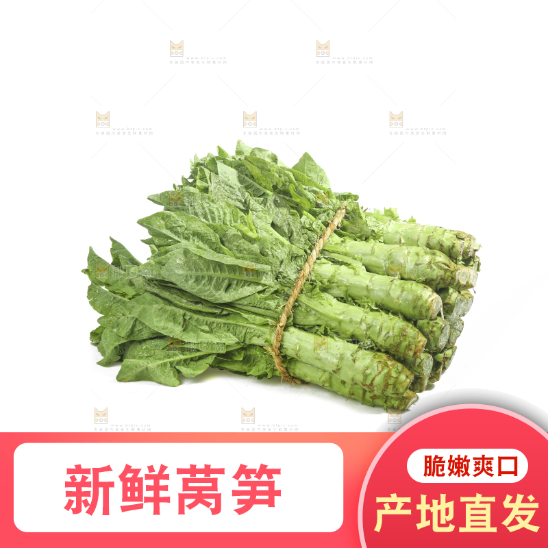 白底上的新鲜莴笋