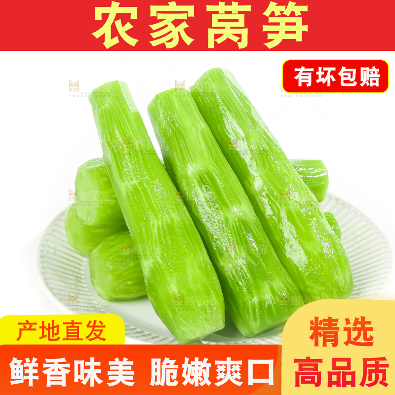 白底上的新鲜莴笋