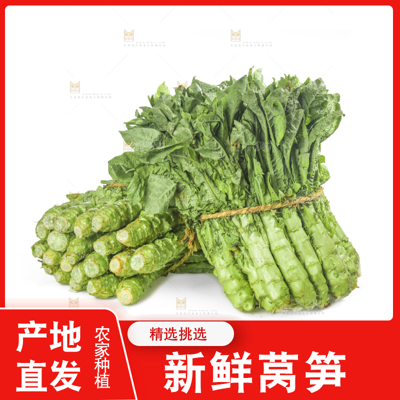 白底上的新鲜莴笋