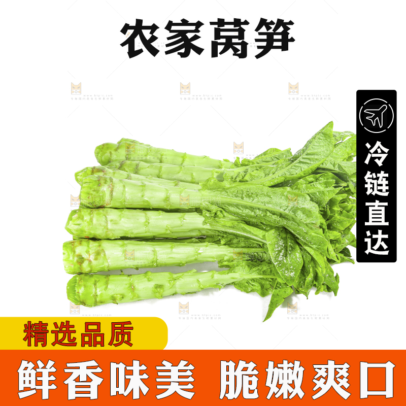 白底上的新鲜莴笋