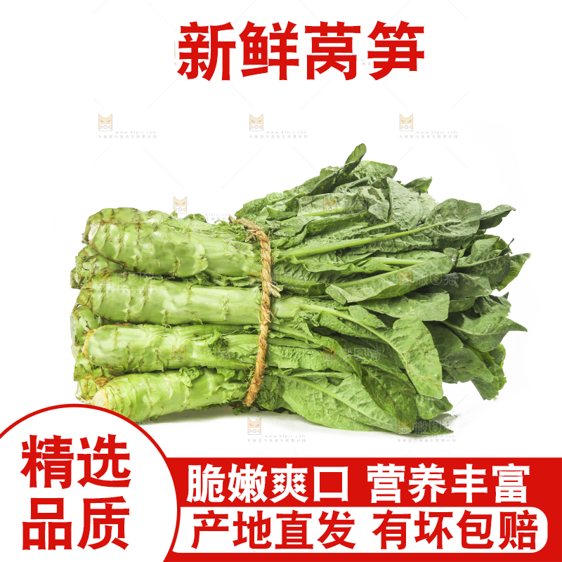 白底上的新鲜莴笋