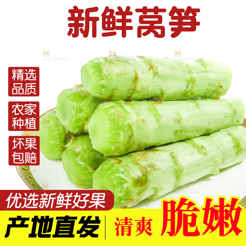 白底上的新鲜莴笋