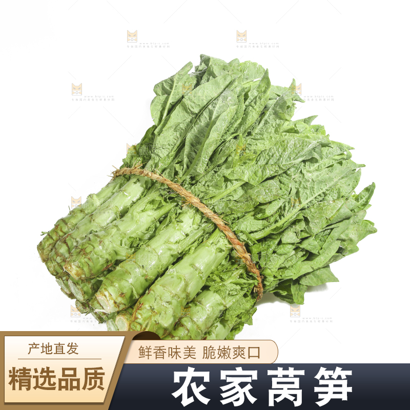白底上的新鲜莴笋