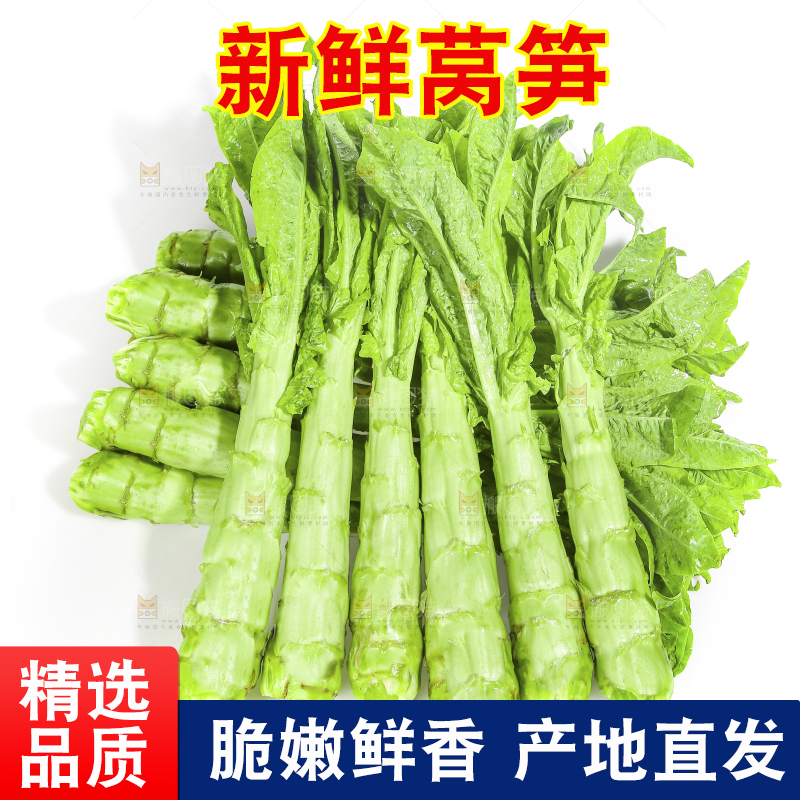 白底上的新鲜莴笋