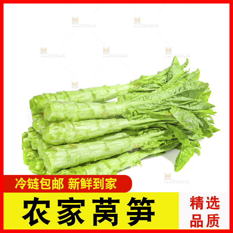 白底上的新鲜莴笋
