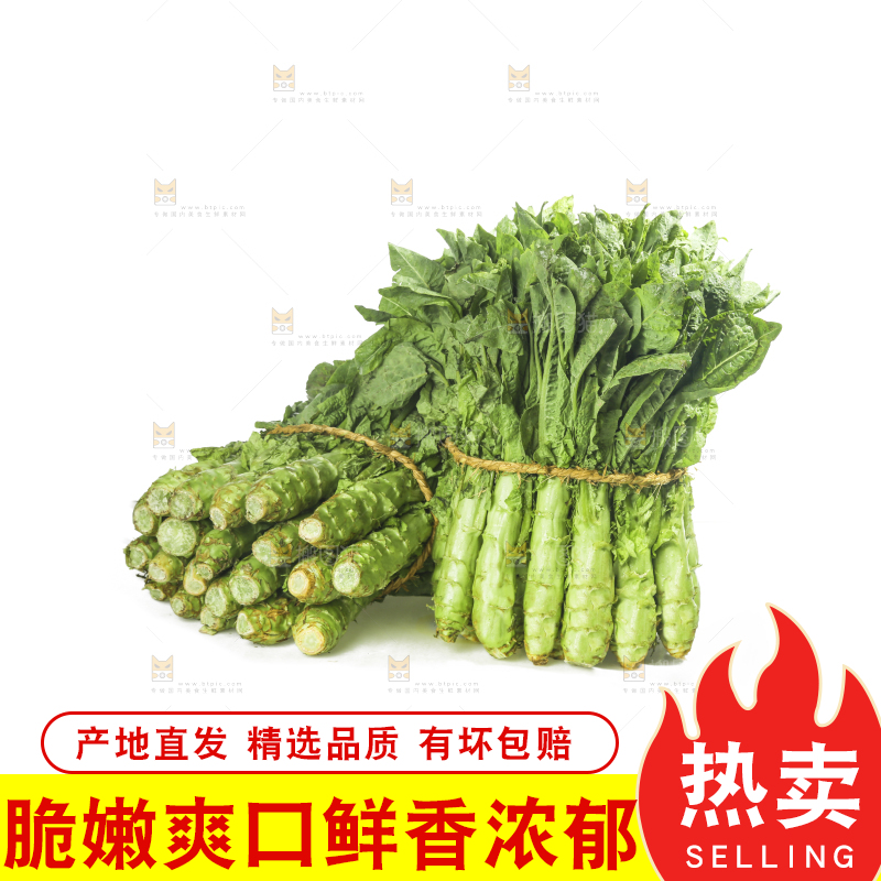 白底上的新鲜莴笋