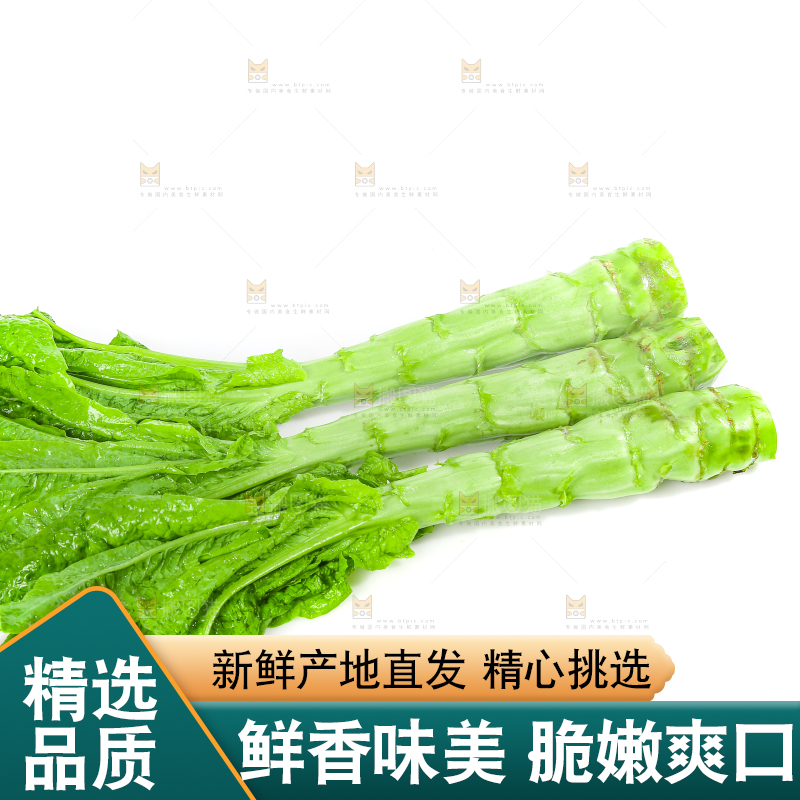 白底上的新鲜莴笋