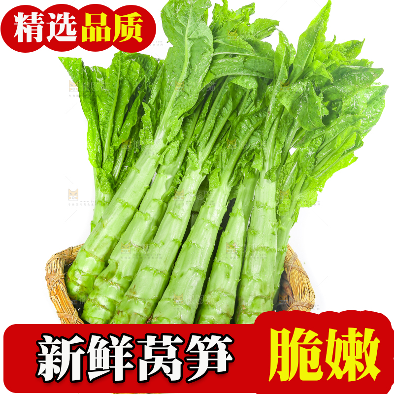白底上的新鲜莴笋