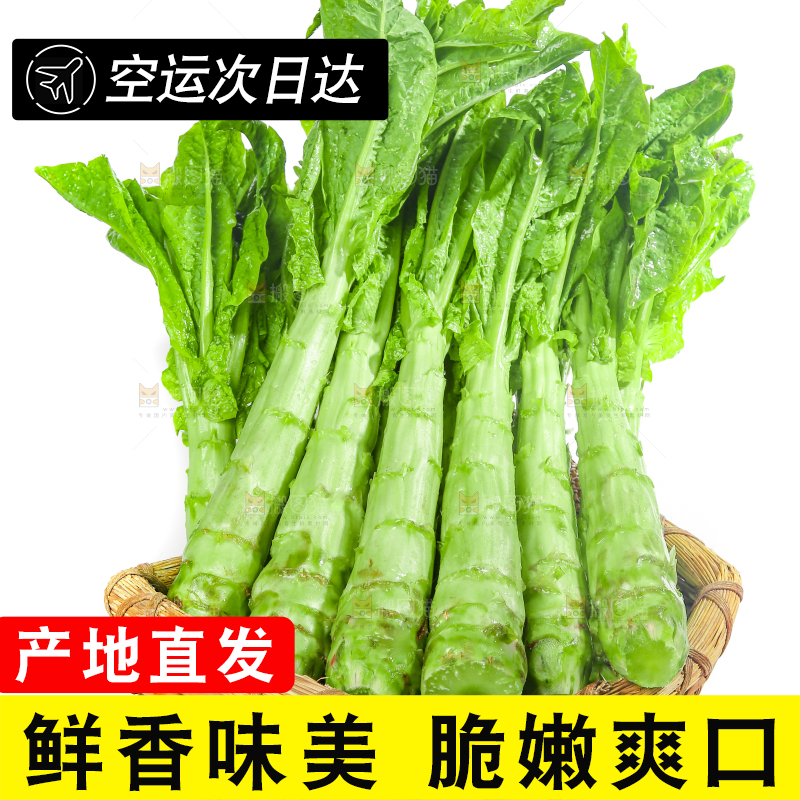 白底上的新鲜莴笋