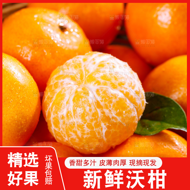 深底上的沃柑