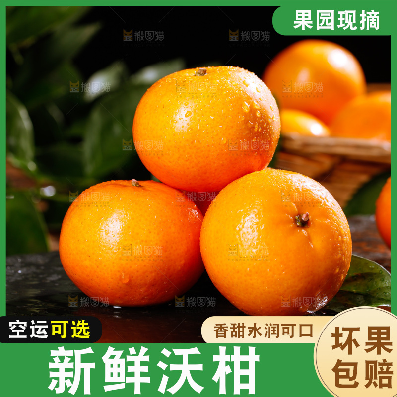 深底上的沃柑
