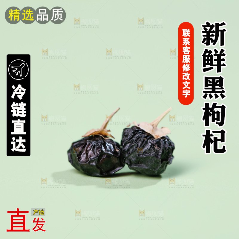 浅底上的黑枸杞