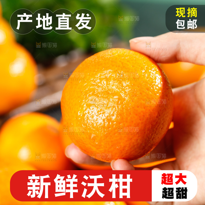 深底上的沃柑