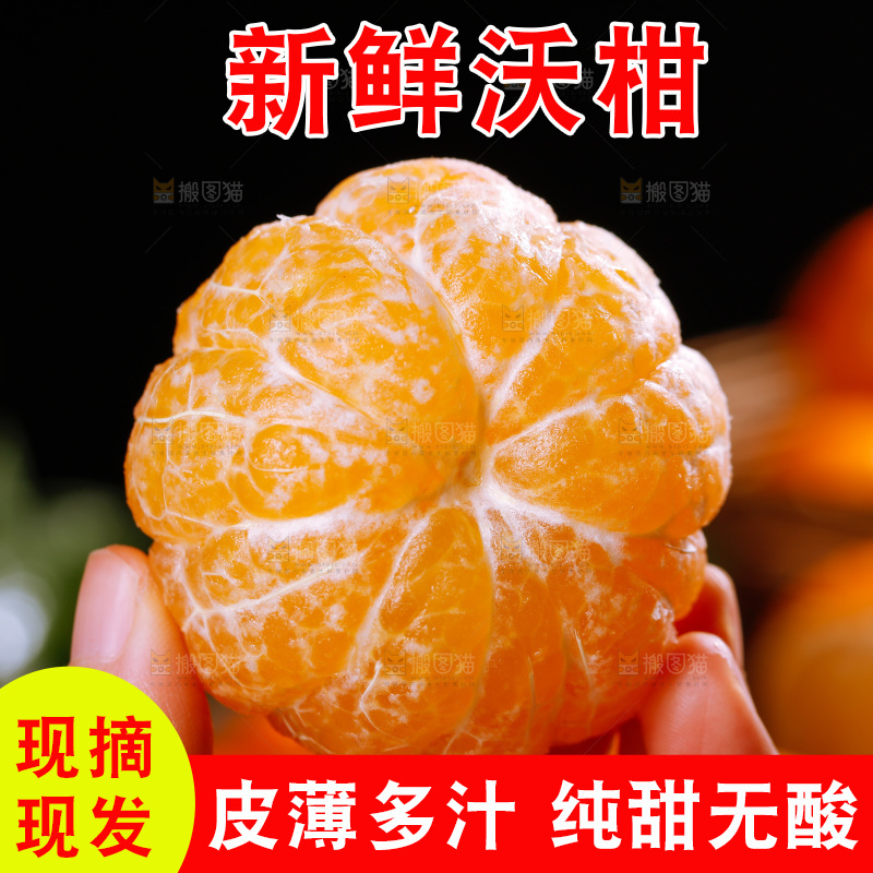深底上的沃柑