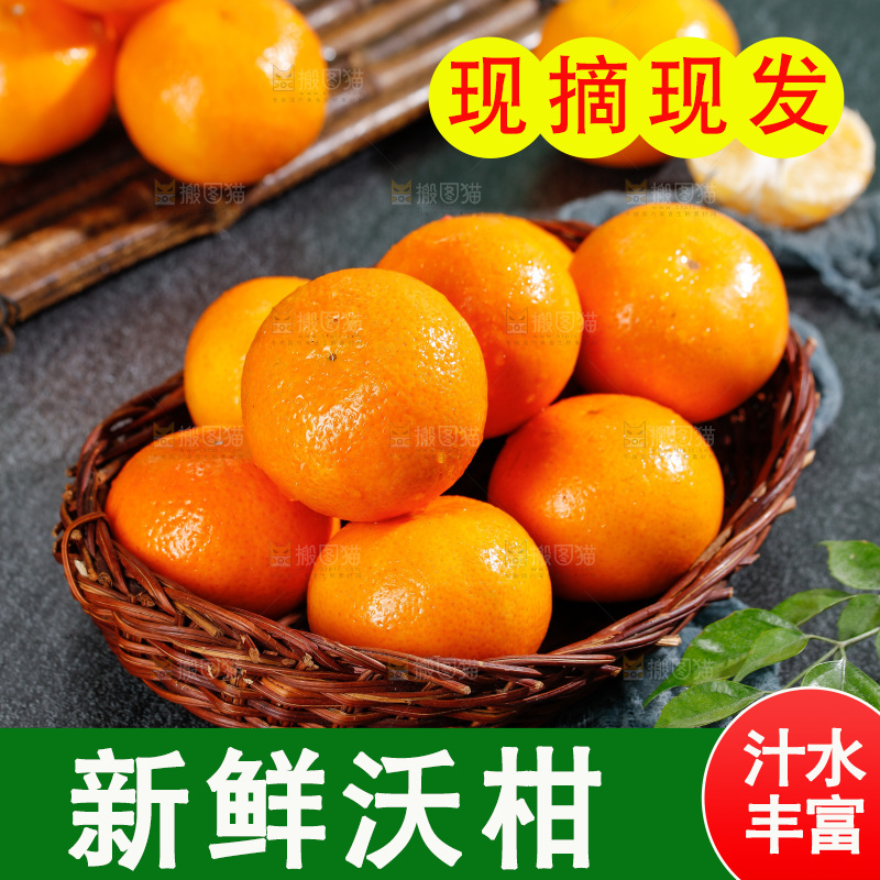 深底上的沃柑