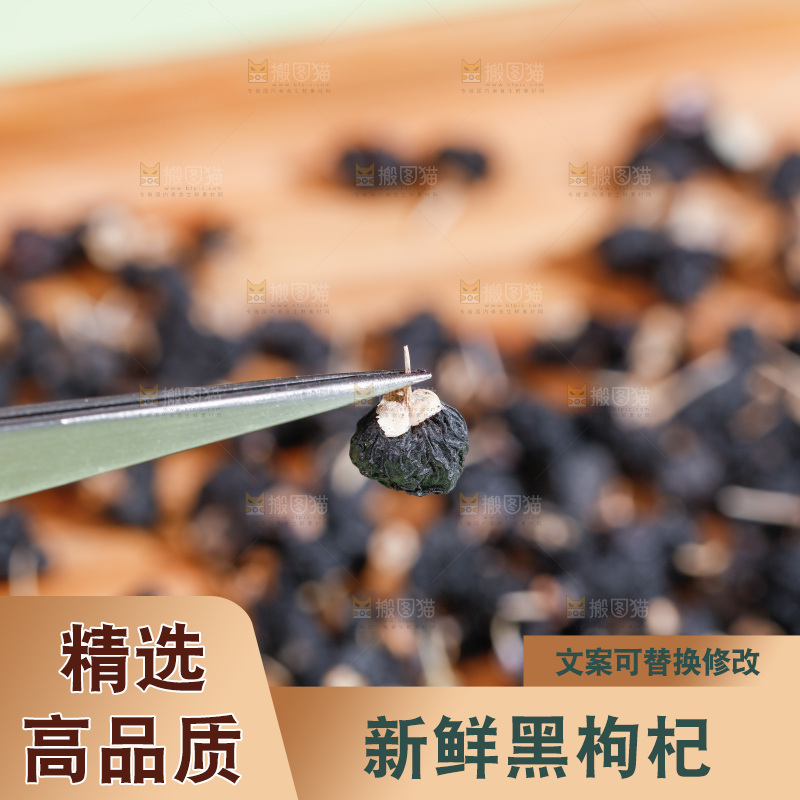 浅底上的黑枸杞