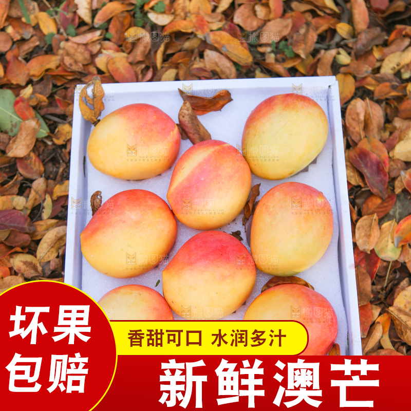 地上放着一盒澳芒