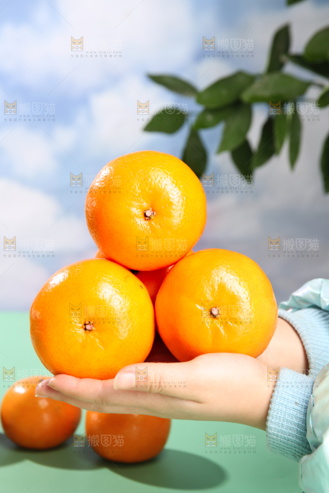 浅底上的沃柑