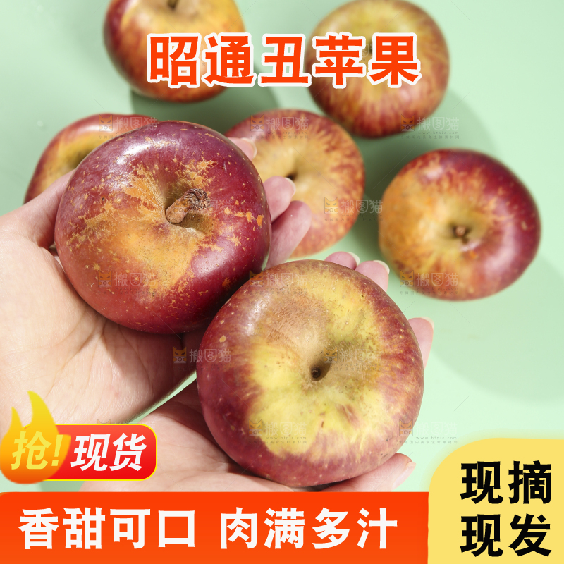 浅底上的昭通丑苹果
