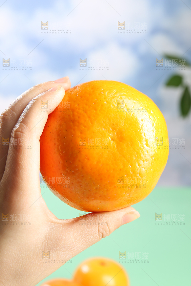 浅底上的沃柑