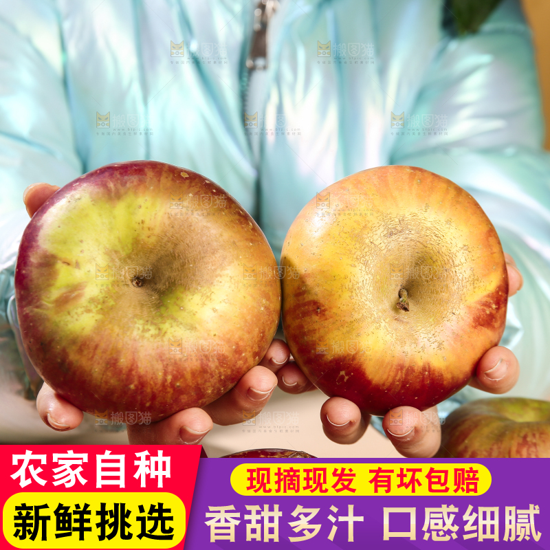 浅底上的昭通丑苹果