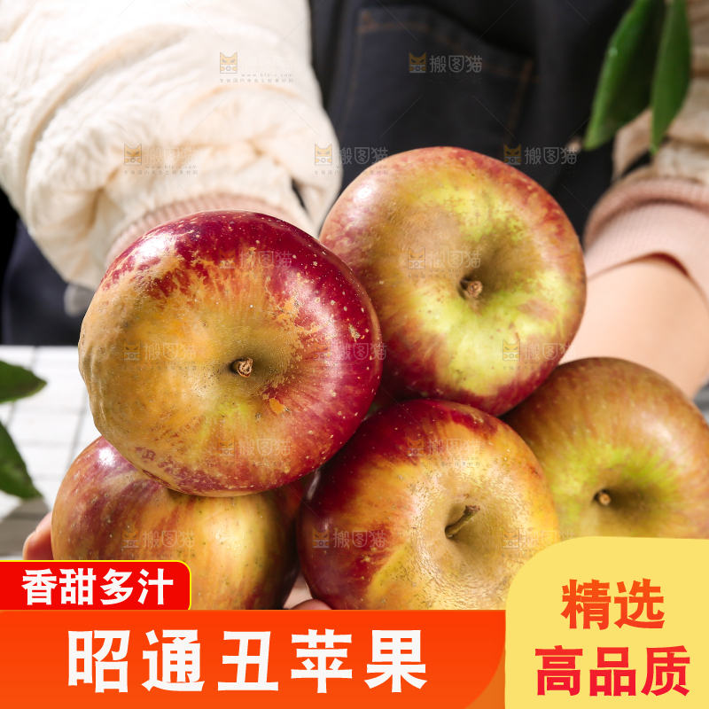 浅底上的昭通丑苹果