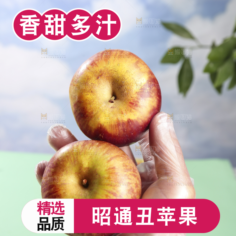 浅底上的昭通丑苹果