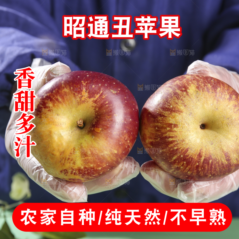 浅底上的昭通丑苹果
