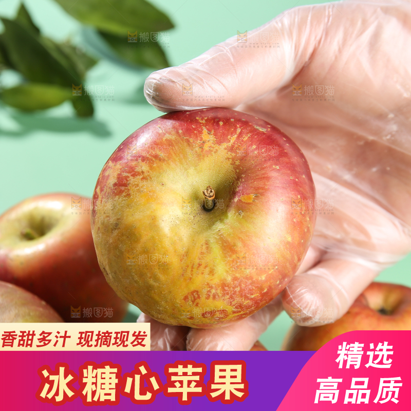 浅底上的昭通丑苹果