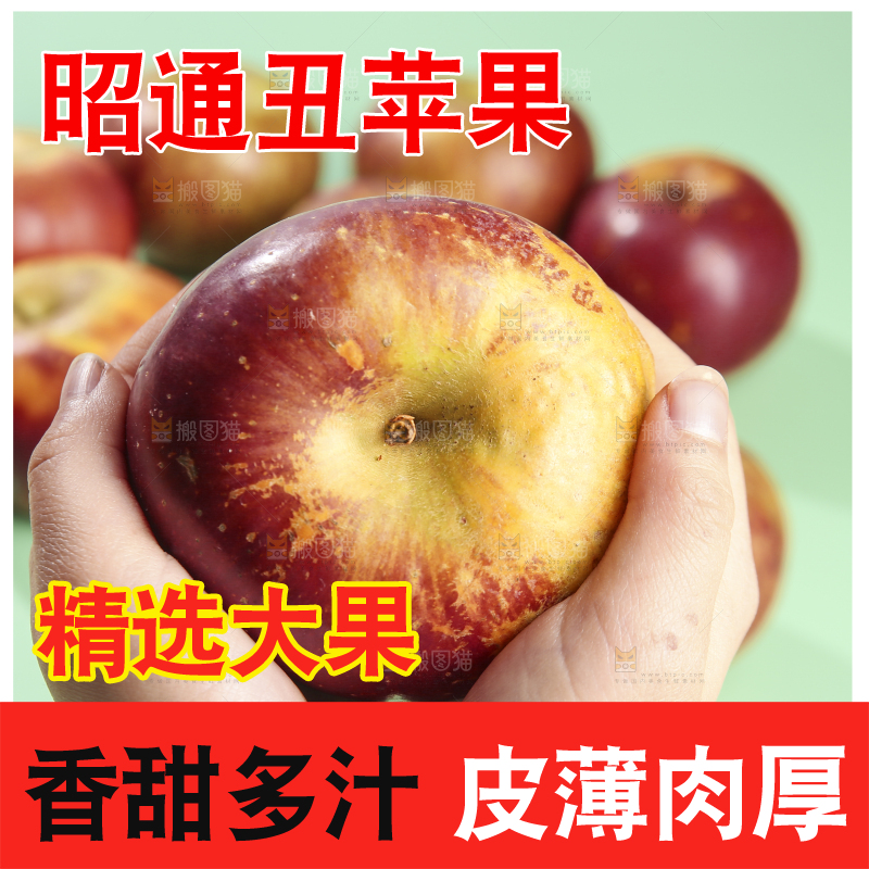 浅底上的昭通丑苹果