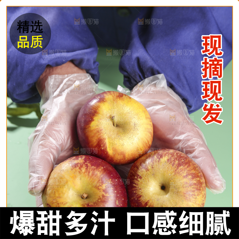 浅底上的昭通丑苹果