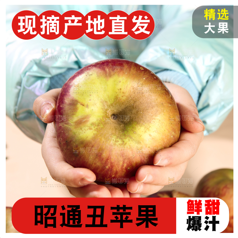 浅底上的昭通丑苹果