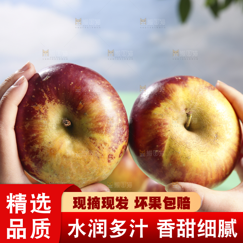 浅底上的昭通丑苹果