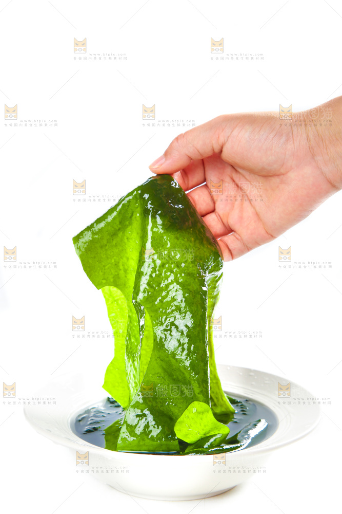 白底上的裙带菜