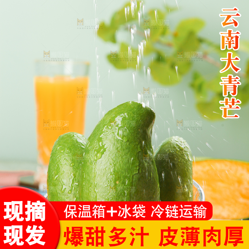 浅底上的新鲜大青芒