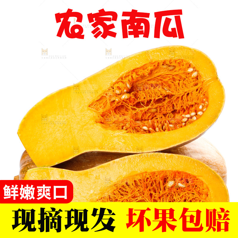 白底上的老南瓜
