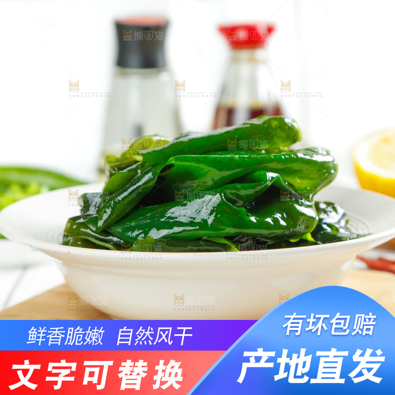 浅底上的裙带菜